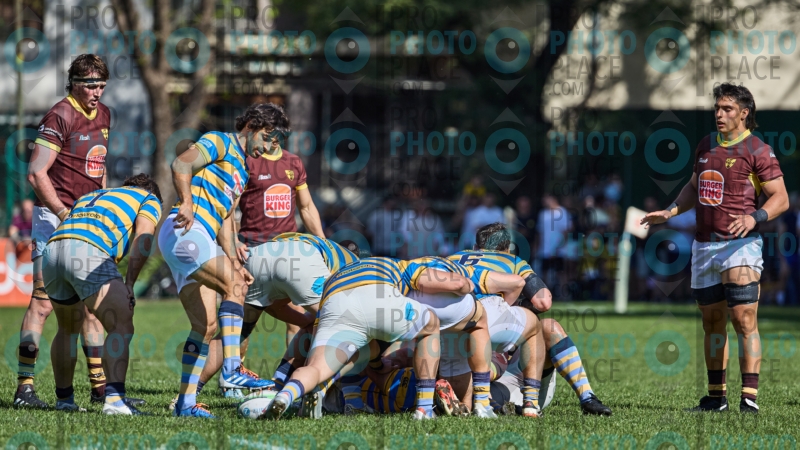 0068-R6-IMG_3963