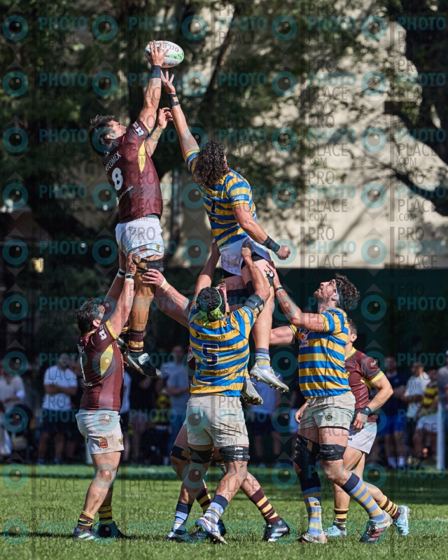 0245-R6-IMG_4187