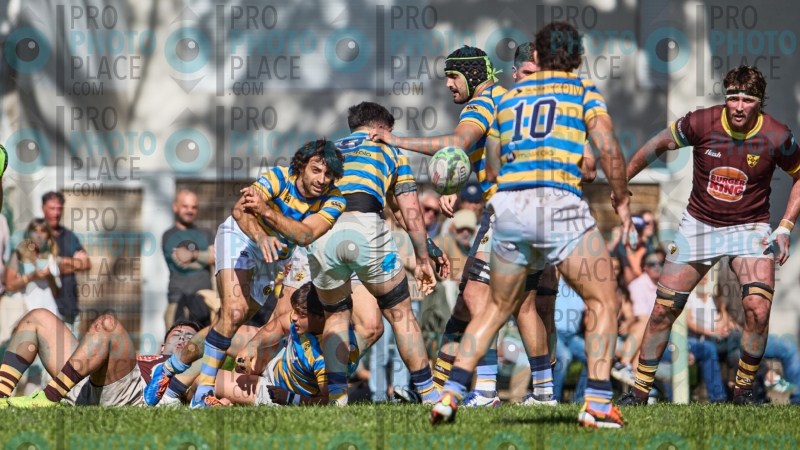 0317-R6-IMG_4293