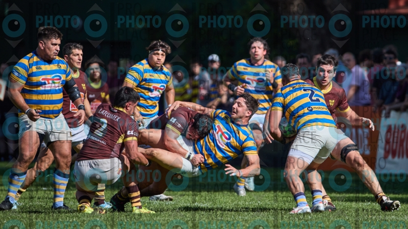 0397-R6-IMG_4388