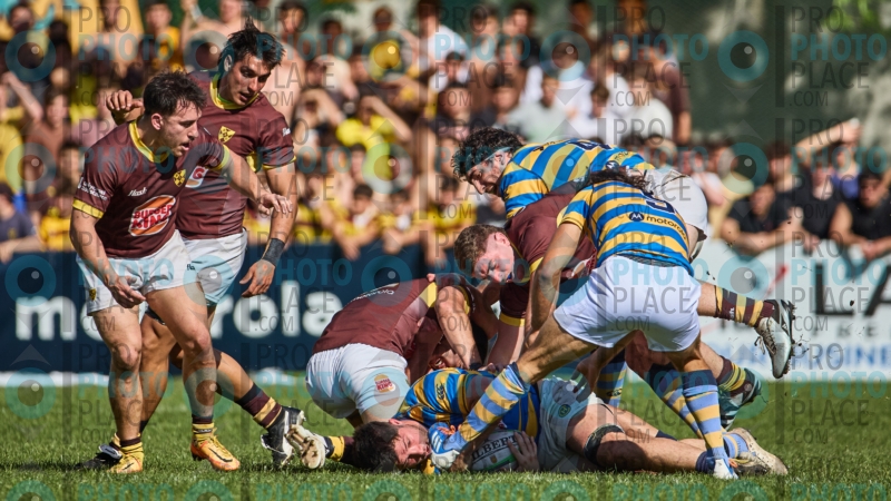 0418-R6-IMG_4422