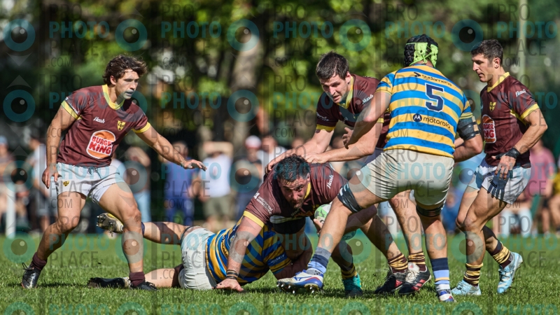 0475-R6-IMG_4486