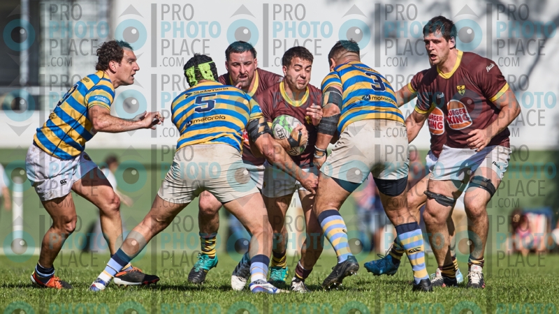 0497-R6-IMG_4516