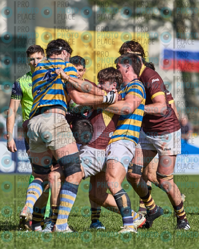 0532-R6-IMG_4551