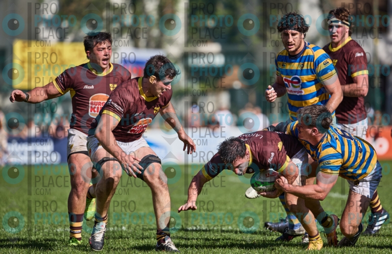 0558-R6-IMG_4591