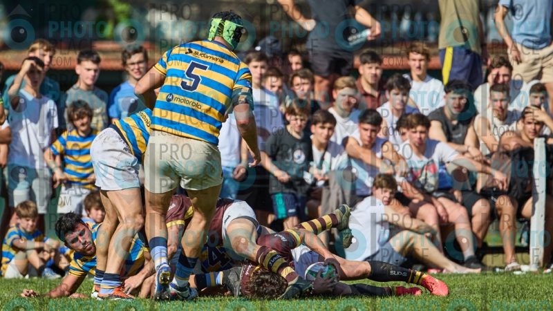 0570-R6-IMG_4638