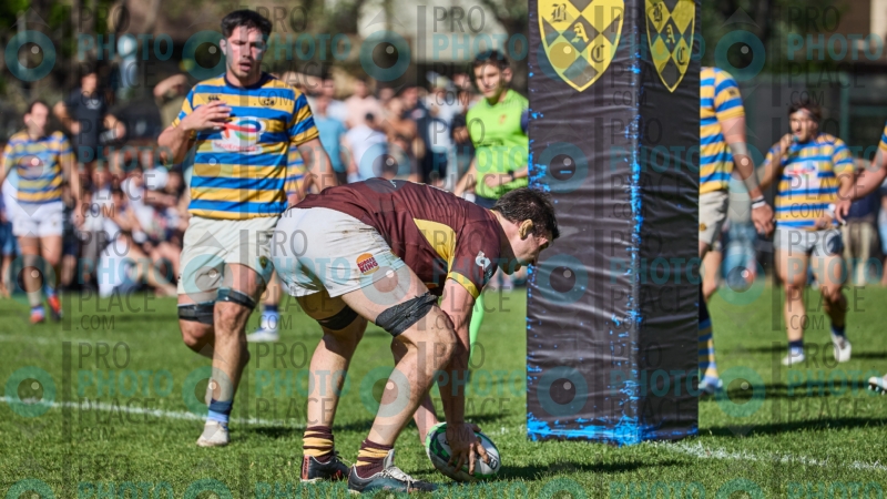 0590-R6-IMG_4668