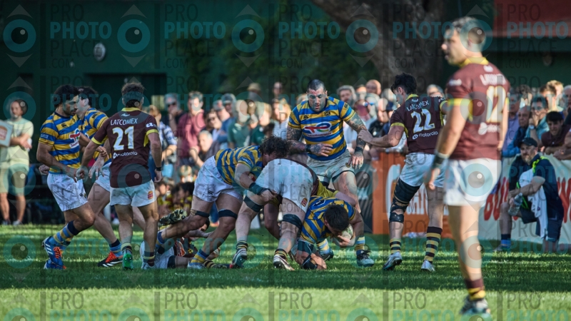 1181-R6-IMG_5598