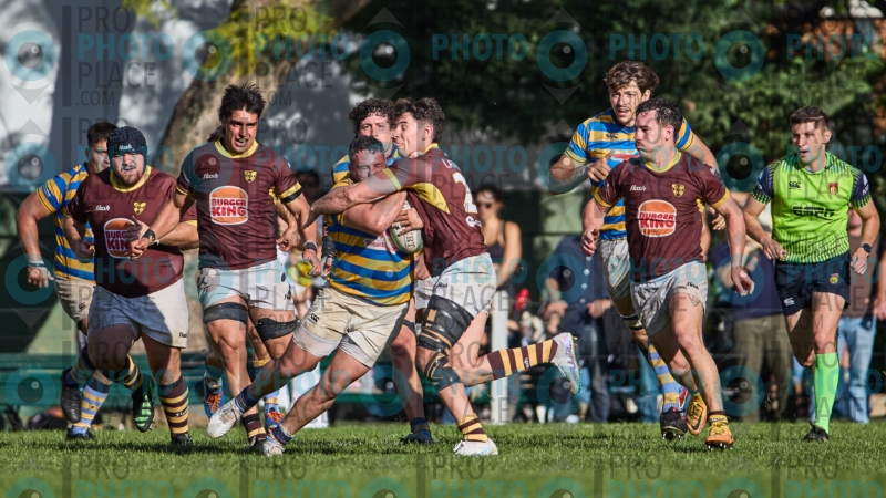1182-R6-IMG_5608