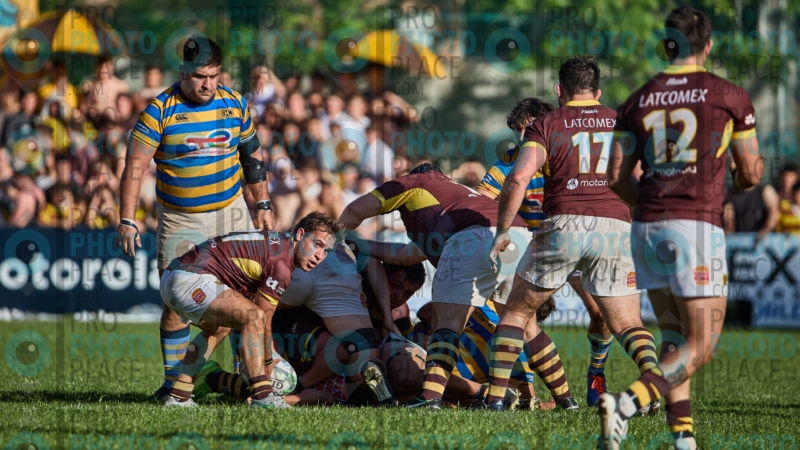 1233-R6-IMG_5688