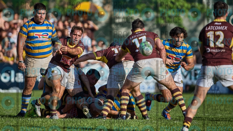 1235-R6-IMG_5690