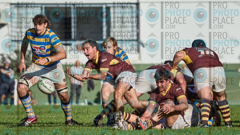1244-R6-IMG_5710