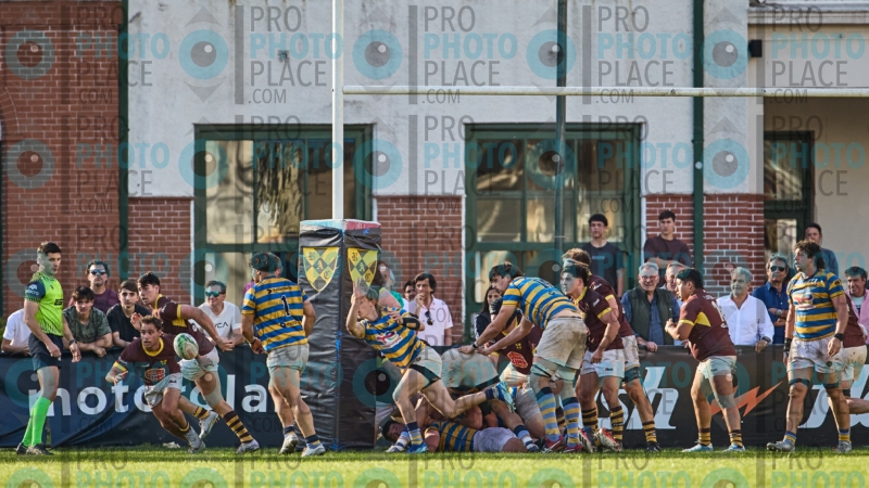 1297-R6-IMG_5755