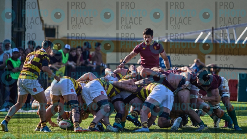 0372-R6-IMG_08500