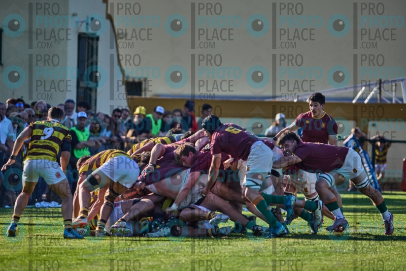 0378-R6-IMG_08506