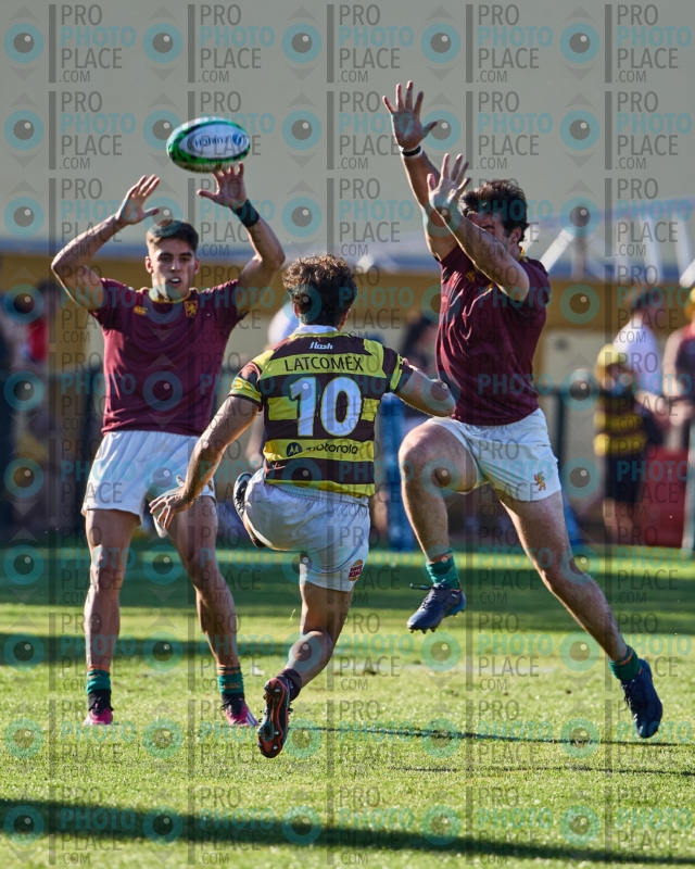0808-R6-IMG_08931