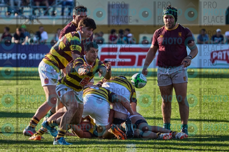 1031-R6-IMG_09399