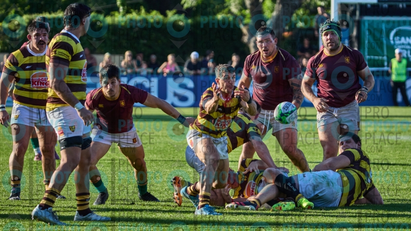 1061-R6-IMG_09442