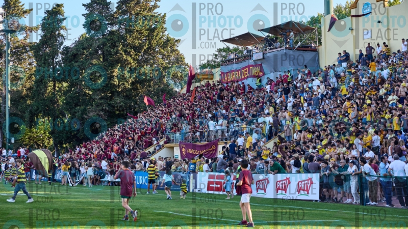 1333-R6-IMG_09884