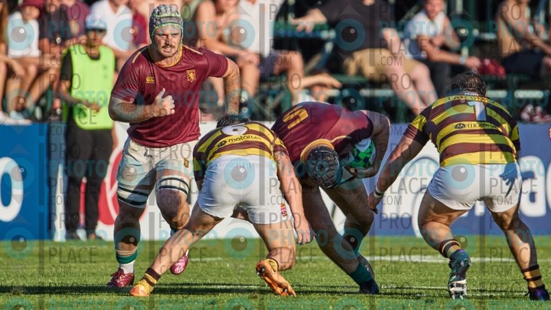 1346-R6-IMG_09924