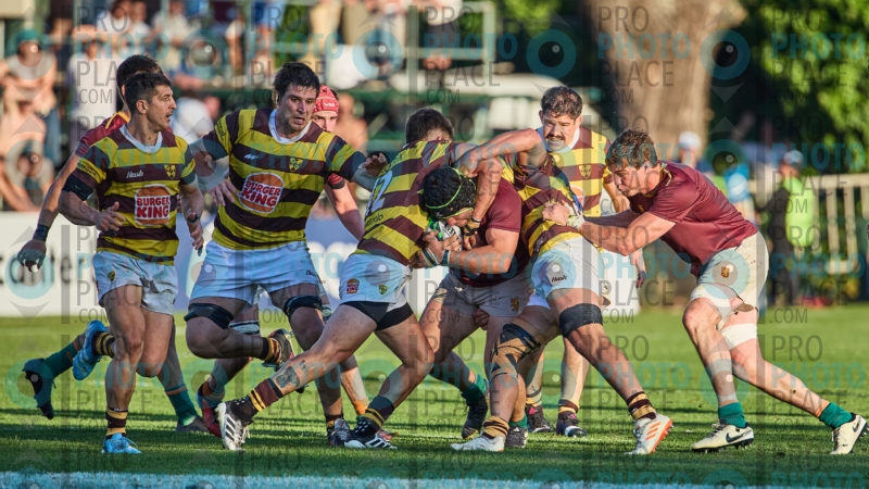 1546-R6-IMG_10217