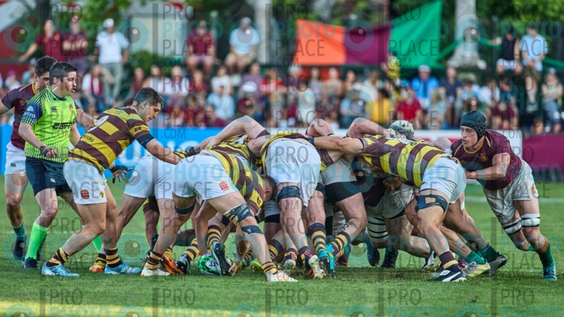 1749-R6-IMG_10528