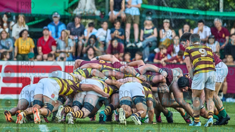 1873-R6-IMG_10781