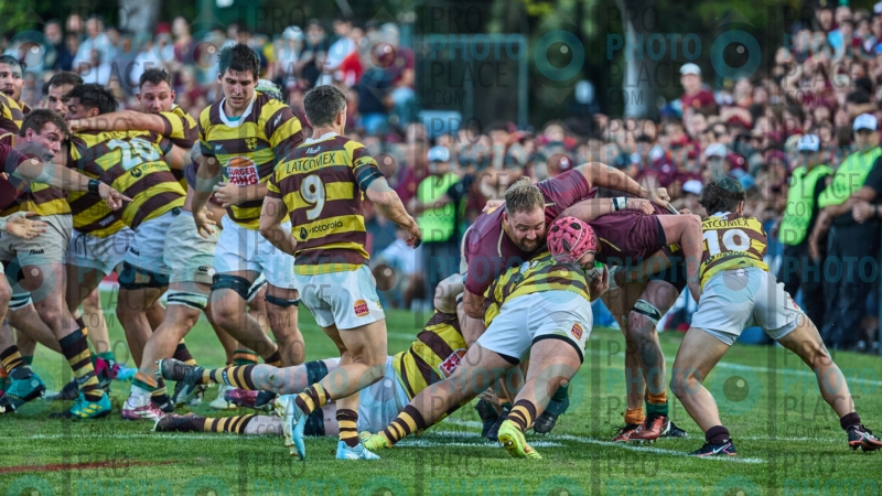 2065-R6-IMG_11019