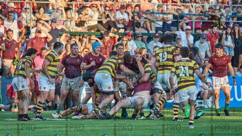 2241-R6-IMG_11278