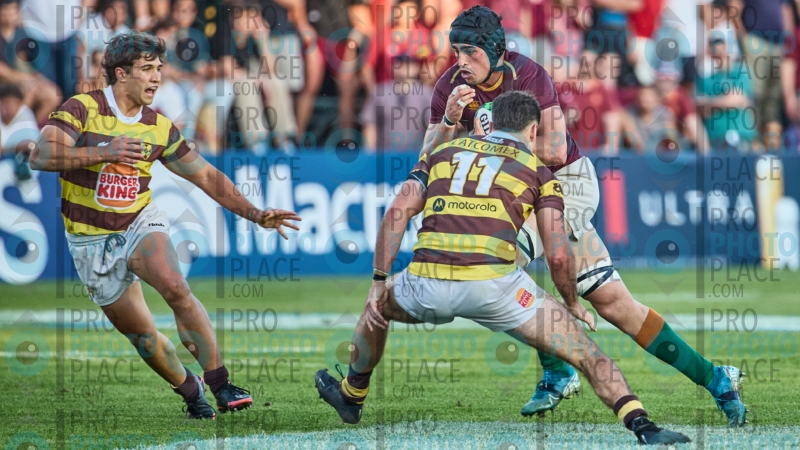 2334-R6-IMG_11416
