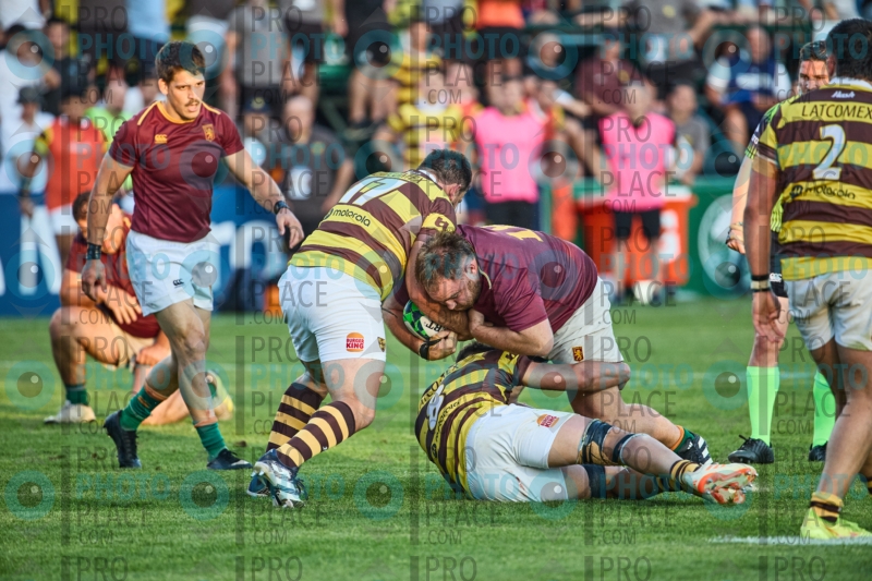 2419-R6-IMG_11556