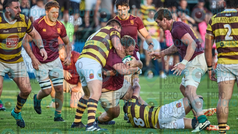2426-R6-IMG_11563