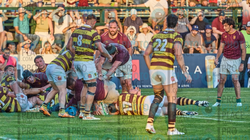 2491-R6-IMG_11667