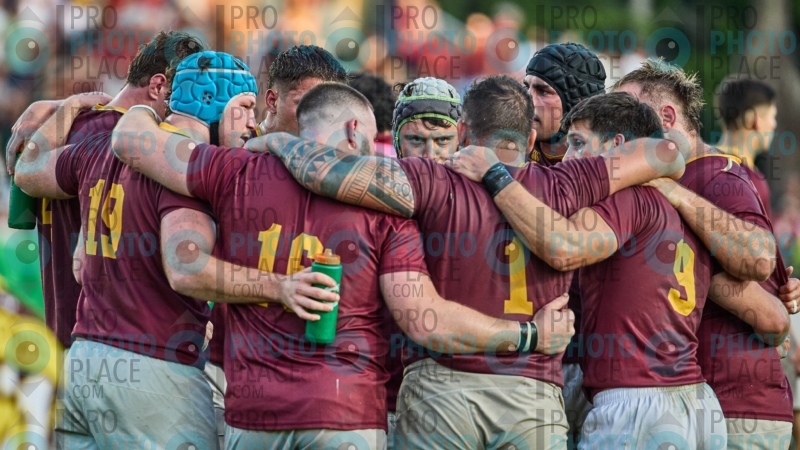 2596-R6-IMG_11823