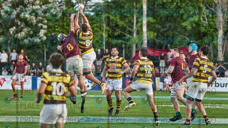 2643-R6-IMG_11917