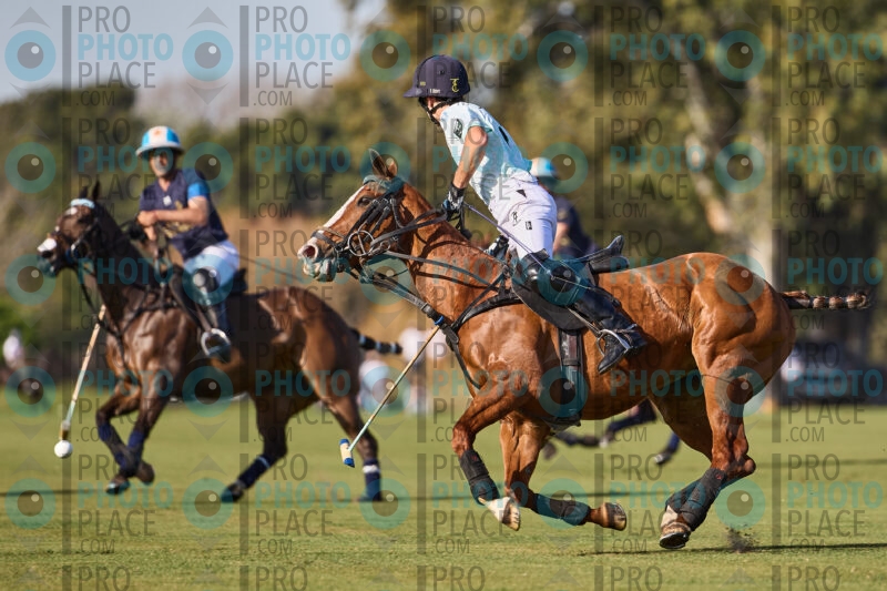 0259-R6-IMG_3184