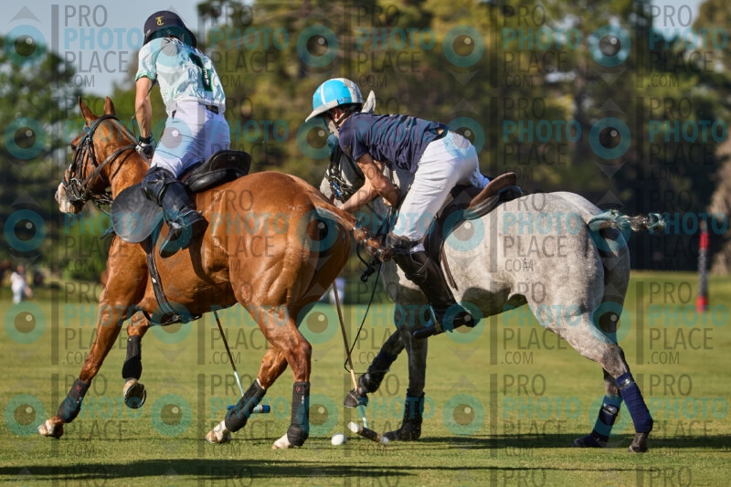 0355-R6-IMG_3309