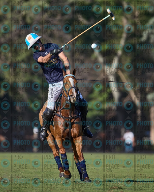 0570-R6-IMG_3563