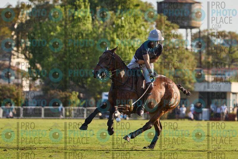 0842-R6-IMG_3876