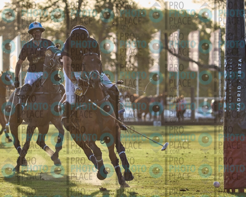 1181-R6-IMG_4291