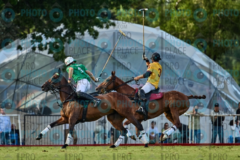 0882-R6-IMG_3113