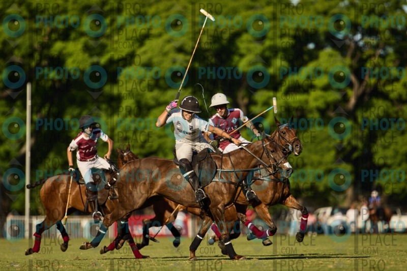 0567-R6-IMG_7740