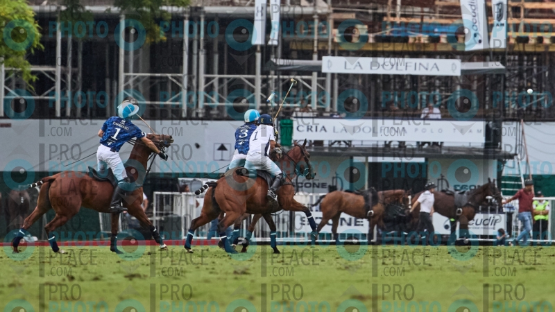 1074-R6-IMG_09913