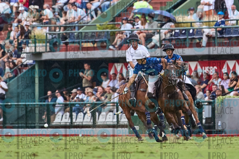 1131-R6-IMG_09987