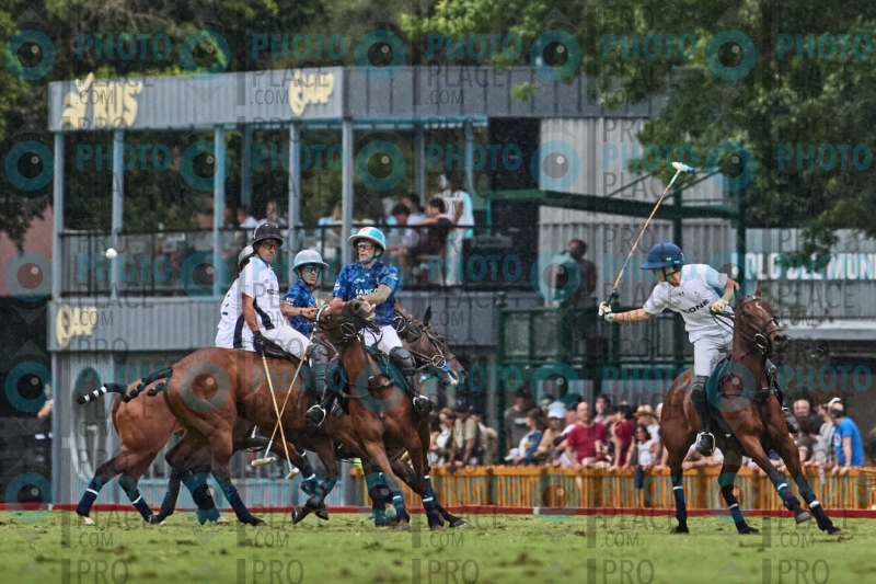 1165-R6-IMG_10028