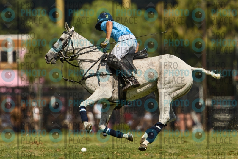 0665-R6-IMG_3539