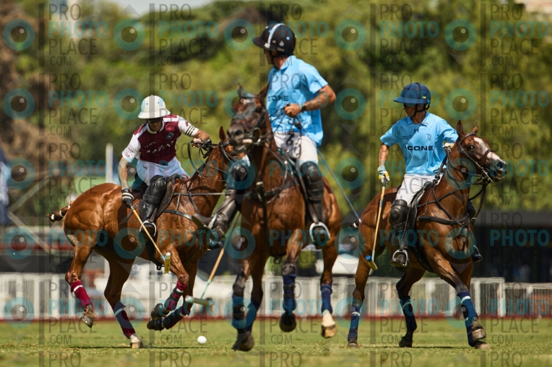 0756-R6-IMG_3685