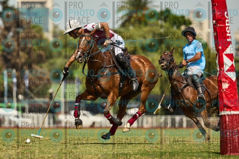 0783-R6-IMG_3721