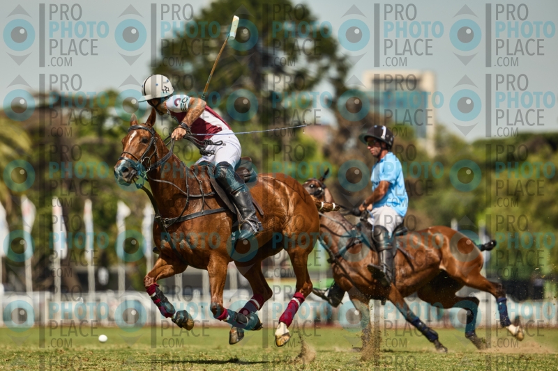 0791-R6-IMG_3729