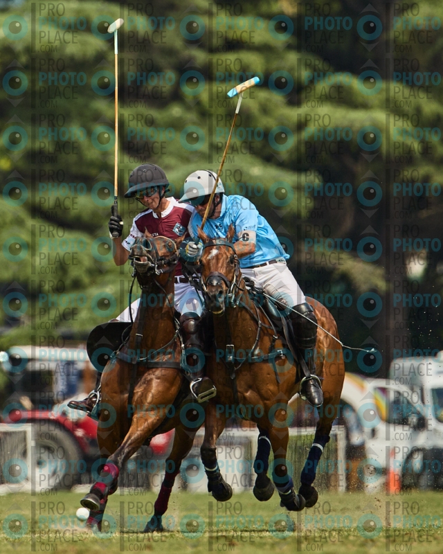 0818-R6-IMG_3756